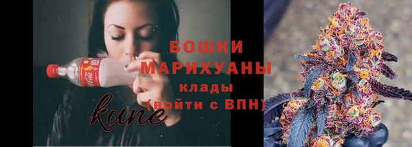 прущие грибы Заволжье