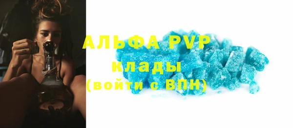 прущие грибы Заволжье