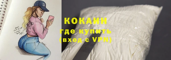 прущие грибы Заволжье