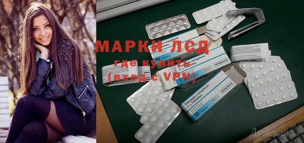 прущие грибы Заволжье