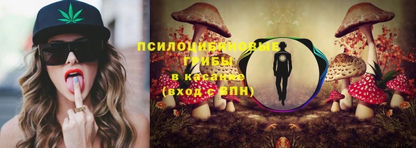 прущие грибы Заволжье