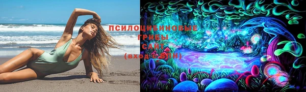 прущая мука Чердынь