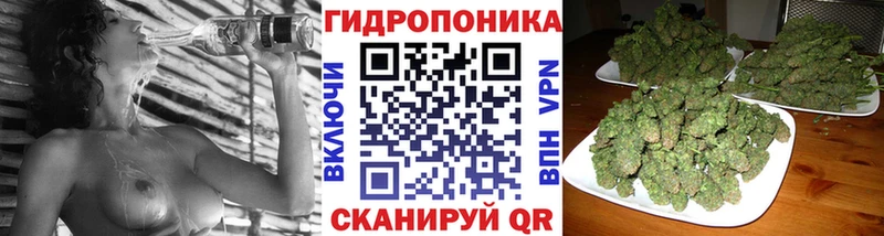 кракен зеркало  Чадан  Бошки марихуана Ganja 
